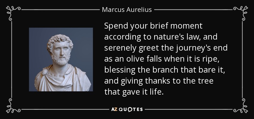 Spend your brief moment according to nature's law, and serenely greet the journey's end as an olive falls when it is ripe, blessing the branch that bare it, and giving thanks to the tree that gave it life. - Marcus Aurelius