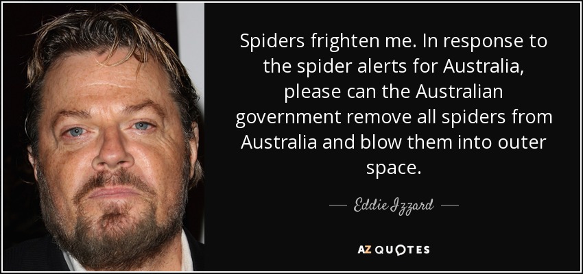 Spiders frighten me. In response to the spider alerts for Australia, please can the Australian government remove all spiders from Australia and blow them into outer space. - Eddie Izzard
