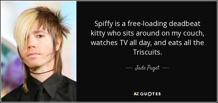 Spiffy is a free-loading deadbeat kitty who sits around on my couch, watches TV all day, and eats all the Triscuits. - Jade Puget