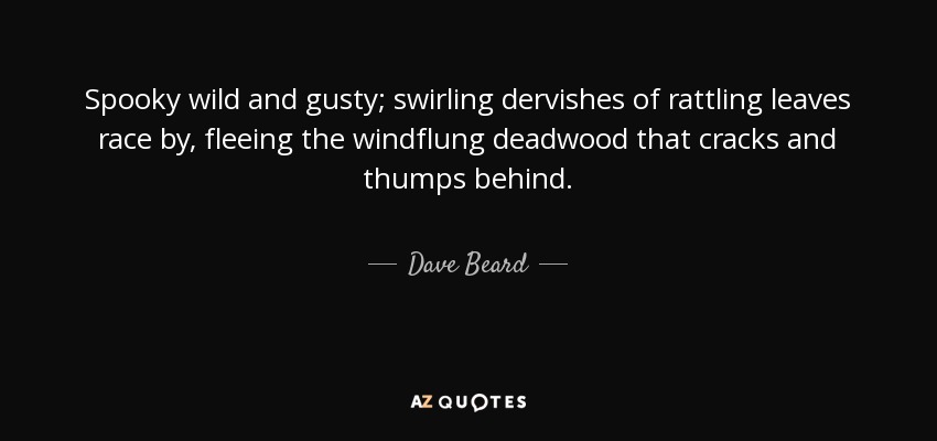 Spooky wild and gusty; swirling dervishes of rattling leaves race by, fleeing the windflung deadwood that cracks and thumps behind. - Dave Beard