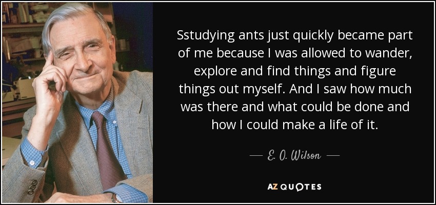 Sstudying ants just quickly became part of me because I was allowed to wander, explore and find things and figure things out myself. And I saw how much was there and what could be done and how I could make a life of it. - E. O. Wilson