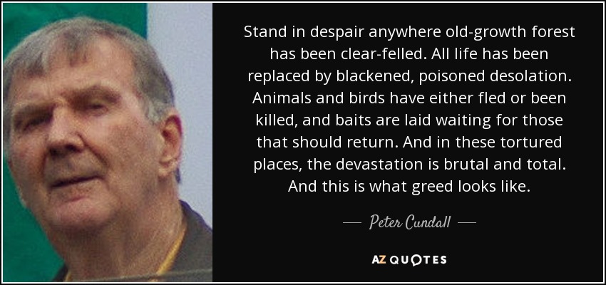 Stand in despair anywhere old-growth forest has been clear-felled. All life has been replaced by blackened, poisoned desolation. Animals and birds have either fled or been killed, and baits are laid waiting for those that should return. And in these tortured places, the devastation is brutal and total. And this is what greed looks like. - Peter Cundall