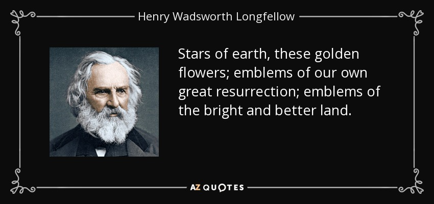 Stars of earth, these golden flowers; emblems of our own great resurrection; emblems of the bright and better land. - Henry Wadsworth Longfellow