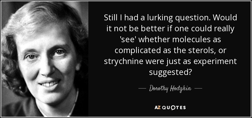 Still I had a lurking question. Would it not be better if one could really 'see' whether molecules as complicated as the sterols, or strychnine were just as experiment suggested? - Dorothy Hodgkin