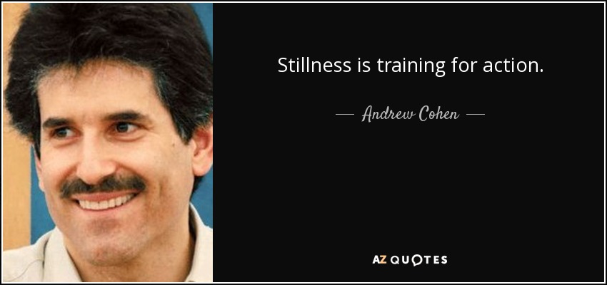 Stillness is training for action. - Andrew Cohen