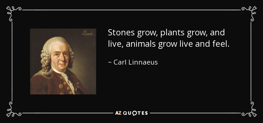 Stones grow, plants grow, and live, animals grow live and feel. - Carl Linnaeus