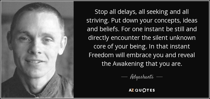 Stop all delays, all seeking and all striving. Put down your concepts, ideas and beliefs. For one instant be still and directly encounter the silent unknown core of your being. In that instant Freedom will embrace you and reveal the Awakening that you are. - Adyashanti