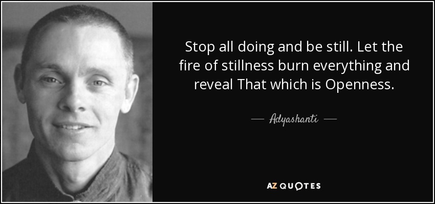 Stop all doing and be still. Let the fire of stillness burn everything and reveal That which is Openness. - Adyashanti