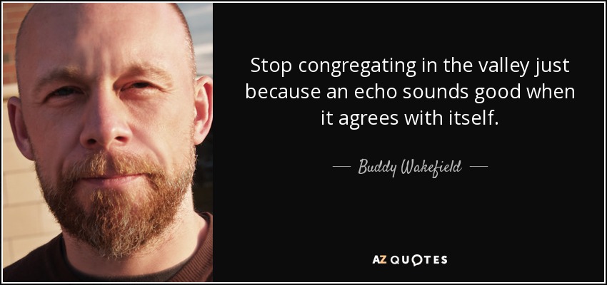 Stop congregating in the valley just because an echo sounds good when it agrees with itself. - Buddy Wakefield