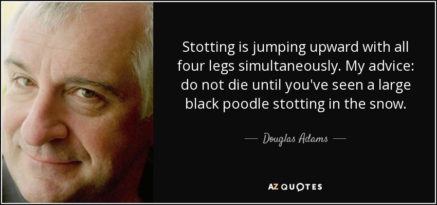 Stotting is jumping upward with all four legs simultaneously. My advice: do not die until you've seen a large black poodle stotting in the snow. - Douglas Adams