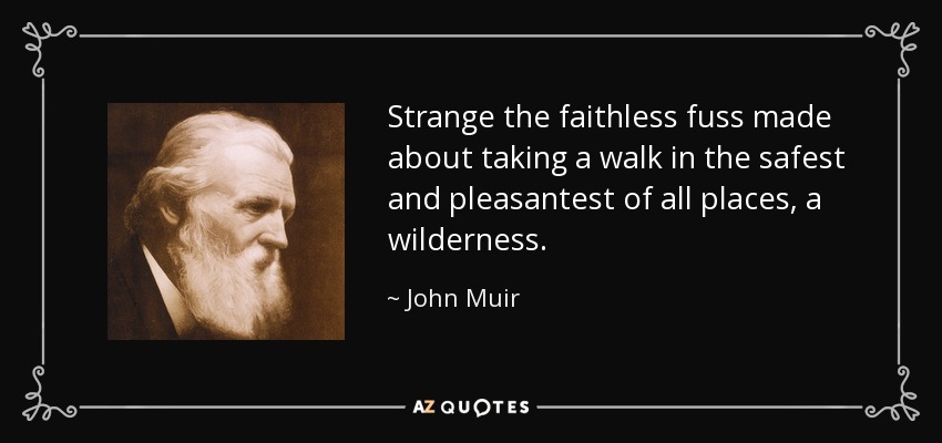 Strange the faithless fuss made about taking a walk in the safest and pleasantest of all places, a wilderness. - John Muir