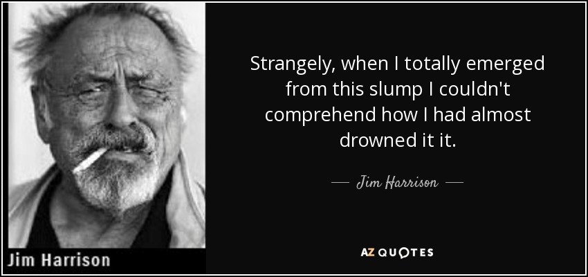 Strangely, when I totally emerged from this slump I couldn't comprehend how I had almost drowned it it. - Jim Harrison