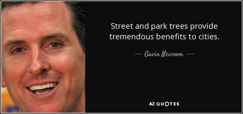 Street and park trees provide tremendous benefits to cities. - Gavin Newsom