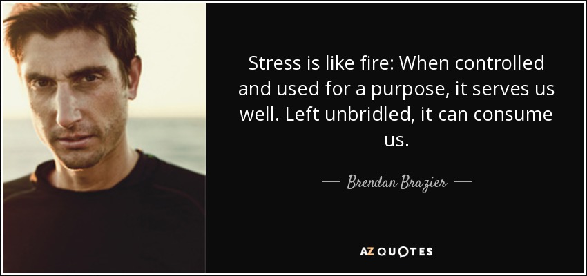 Stress is like fire: When controlled and used for a purpose, it serves us well. Left unbridled, it can consume us. - Brendan Brazier