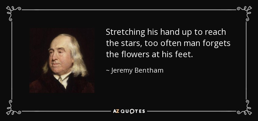 Stretching his hand up to reach the stars, too often man forgets the flowers at his feet. - Jeremy Bentham