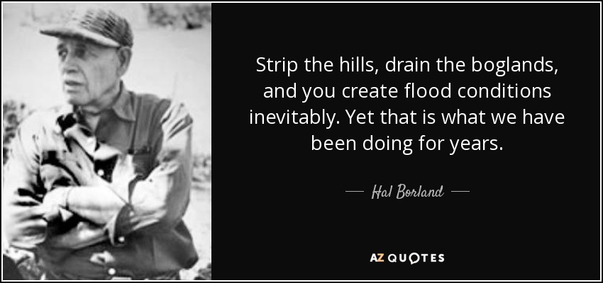 Strip the hills, drain the boglands, and you create flood conditions inevitably. Yet that is what we have been doing for years. - Hal Borland