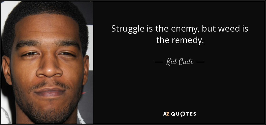 Struggle is the enemy, but weed is the remedy. - Kid Cudi