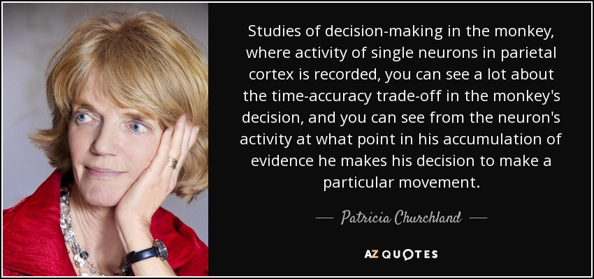 Studies of decision-making in the monkey, where activity of single neurons in parietal cortex is recorded, you can see a lot about the time-accuracy trade-off in the monkey's decision, and you can see from the neuron's activity at what point in his accumulation of evidence he makes his decision to make a particular movement. - Patricia Churchland