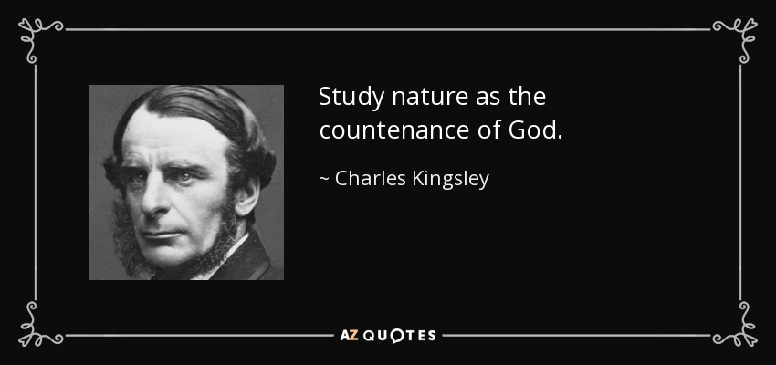 Study nature as the countenance of God. - Charles Kingsley