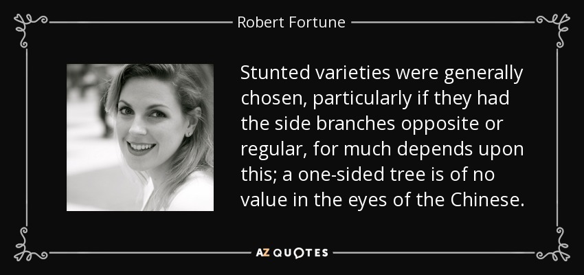 Stunted varieties were generally chosen, particularly if they had the side branches opposite or regular, for much depends upon this; a one-sided tree is of no value in the eyes of the Chinese. - Robert Fortune