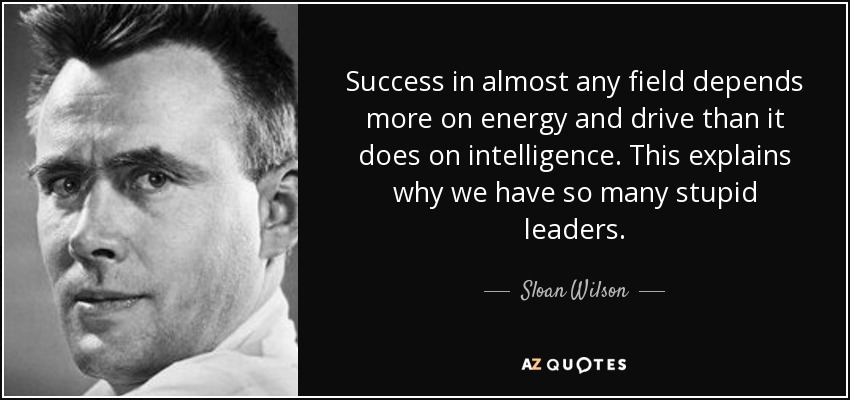 Success in almost any field depends more on energy and drive than it does on intelligence. This explains why we have so many stupid leaders. - Sloan Wilson