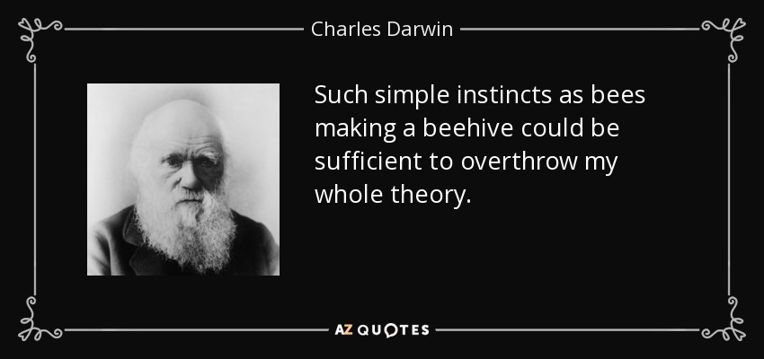 Such simple instincts as bees making a beehive could be sufficient to overthrow my whole theory. - Charles Darwin