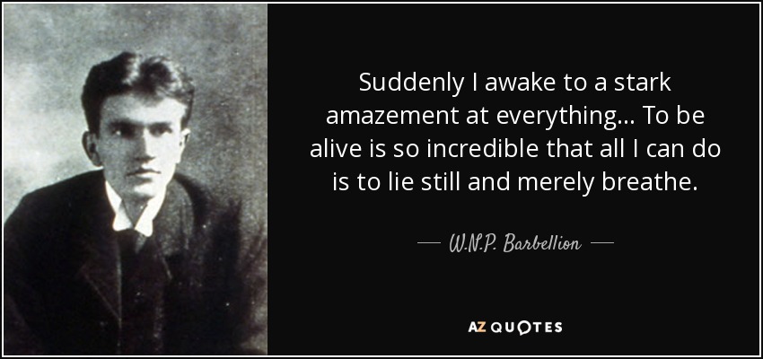 Suddenly I awake to a stark amazement at everything... To be alive is so incredible that all I can do is to lie still and merely breathe. - W.N.P. Barbellion