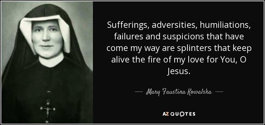 Sufferings, adversities, humiliations, failures and suspicions that have come my way are splinters that keep alive the fire of my love for You, O Jesus. - Mary Faustina Kowalska