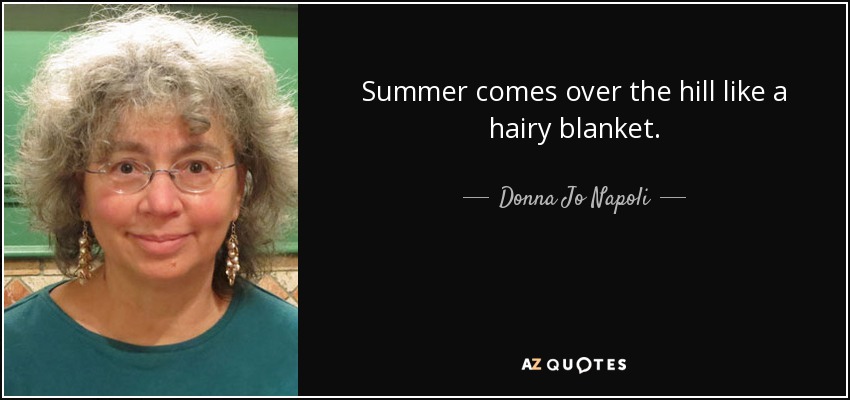 Summer comes over the hill like a hairy blanket. - Donna Jo Napoli