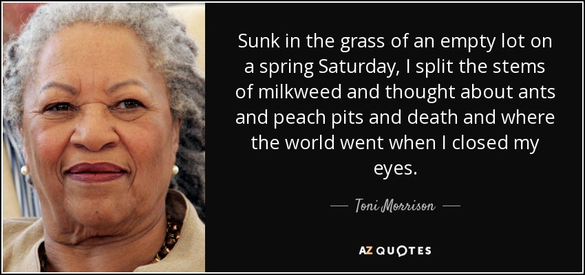 Sunk in the grass of an empty lot on a spring Saturday, I split the stems of milkweed and thought about ants and peach pits and death and where the world went when I closed my eyes. - Toni Morrison