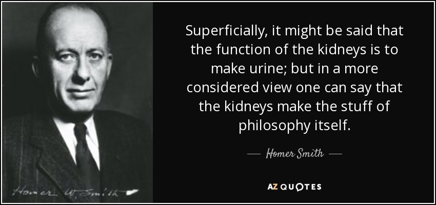 Superficially, it might be said that the function of the kidneys is to make urine; but in a more considered view one can say that the kidneys make the stuff of philosophy itself. - Homer Smith