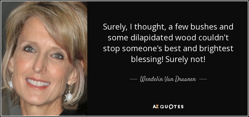 Surely, I thought, a few bushes and some dilapidated wood couldn't stop someone's best and brightest blessing! Surely not! - Wendelin Van Draanen