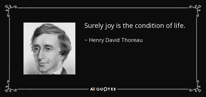 Surely joy is the condition of life. - Henry David Thoreau