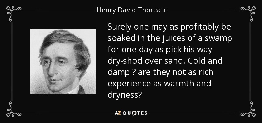 Surely one may as profitably be soaked in the juices of a swamp for one day as pick his way dry-shod over sand. Cold and damp ? are they not as rich experience as warmth and dryness? - Henry David Thoreau