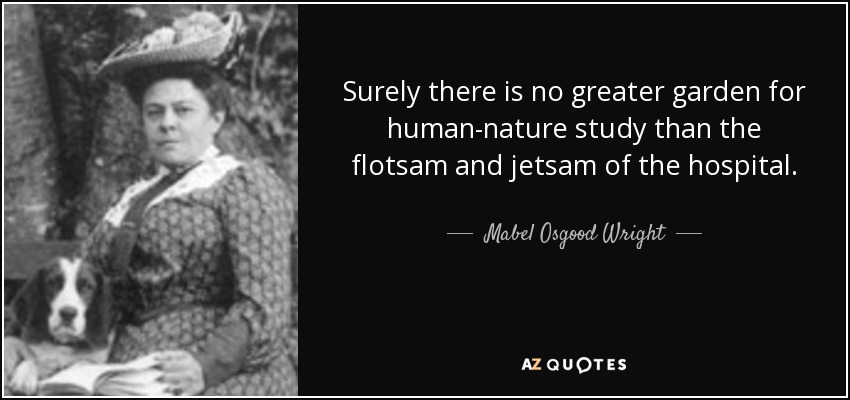 Surely there is no greater garden for human-nature study than the flotsam and jetsam of the hospital. - Mabel Osgood Wright