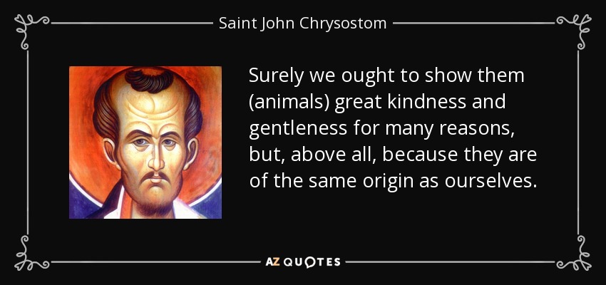 Surely we ought to show them (animals) great kindness and gentleness for many reasons, but, above all, because they are of the same origin as ourselves. - Saint John Chrysostom
