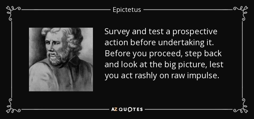 Survey and test a prospective action before undertaking it. Before you proceed, step back and look at the big picture, lest you act rashly on raw impulse. - Epictetus