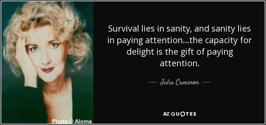 Survival lies in sanity, and sanity lies in paying attention...the capacity for delight is the gift of paying attention. - Julia Cameron