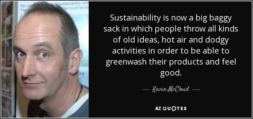 Sustainability is now a big baggy sack in which people throw all kinds of old ideas, hot air and dodgy activities in order to be able to greenwash their products and feel good. - Kevin McCloud