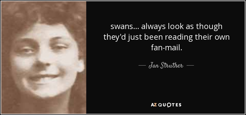 swans ... always look as though they'd just been reading their own fan-mail. - Jan Struther