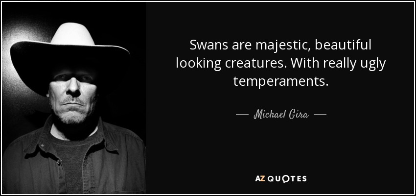 Swans are majestic, beautiful looking creatures. With really ugly temperaments. - Michael Gira