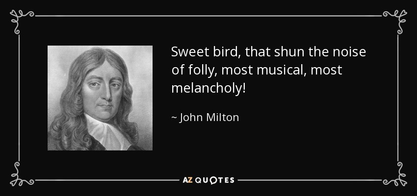 Sweet bird, that shun the noise of folly, most musical, most melancholy! - John Milton