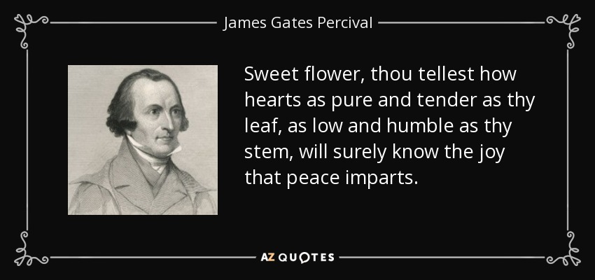 Sweet flower, thou tellest how hearts as pure and tender as thy leaf, as low and humble as thy stem, will surely know the joy that peace imparts. - James Gates Percival
