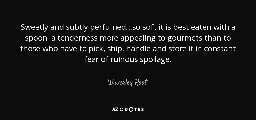 Sweetly and subtly perfumed...so soft it is best eaten with a spoon, a tenderness more appealing to gourmets than to those who have to pick, ship, handle and store it in constant fear of ruinous spoilage. - Waverley Root