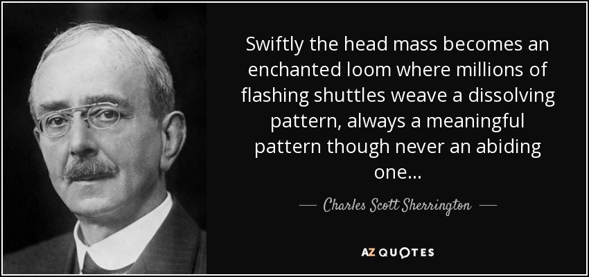 Swiftly the head mass becomes an enchanted loom where millions of flashing shuttles weave a dissolving pattern, always a meaningful pattern though never an abiding one... - Charles Scott Sherrington