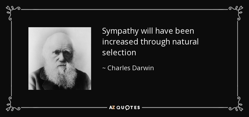 Sympathy will have been increased through natural selection - Charles Darwin
