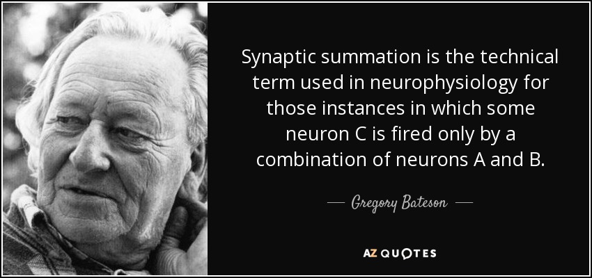 Synaptic summation is the technical term used in neurophysiology for those instances in which some neuron C is fired only by a combination of neurons A and B. - Gregory Bateson