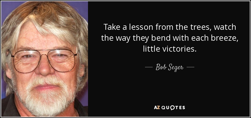 Take a lesson from the trees, watch the way they bend with each breeze, little victories. - Bob Seger