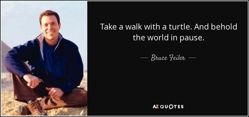 Take a walk with a turtle. And behold the world in pause. - Bruce Feiler