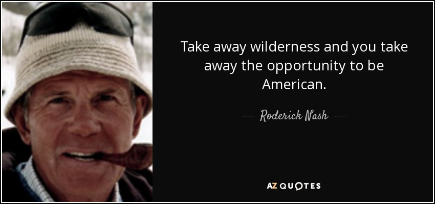 Take away wilderness and you take away the opportunity to be American. - Roderick Nash